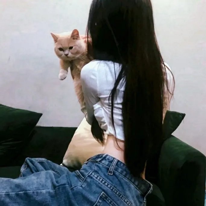 爱在飞