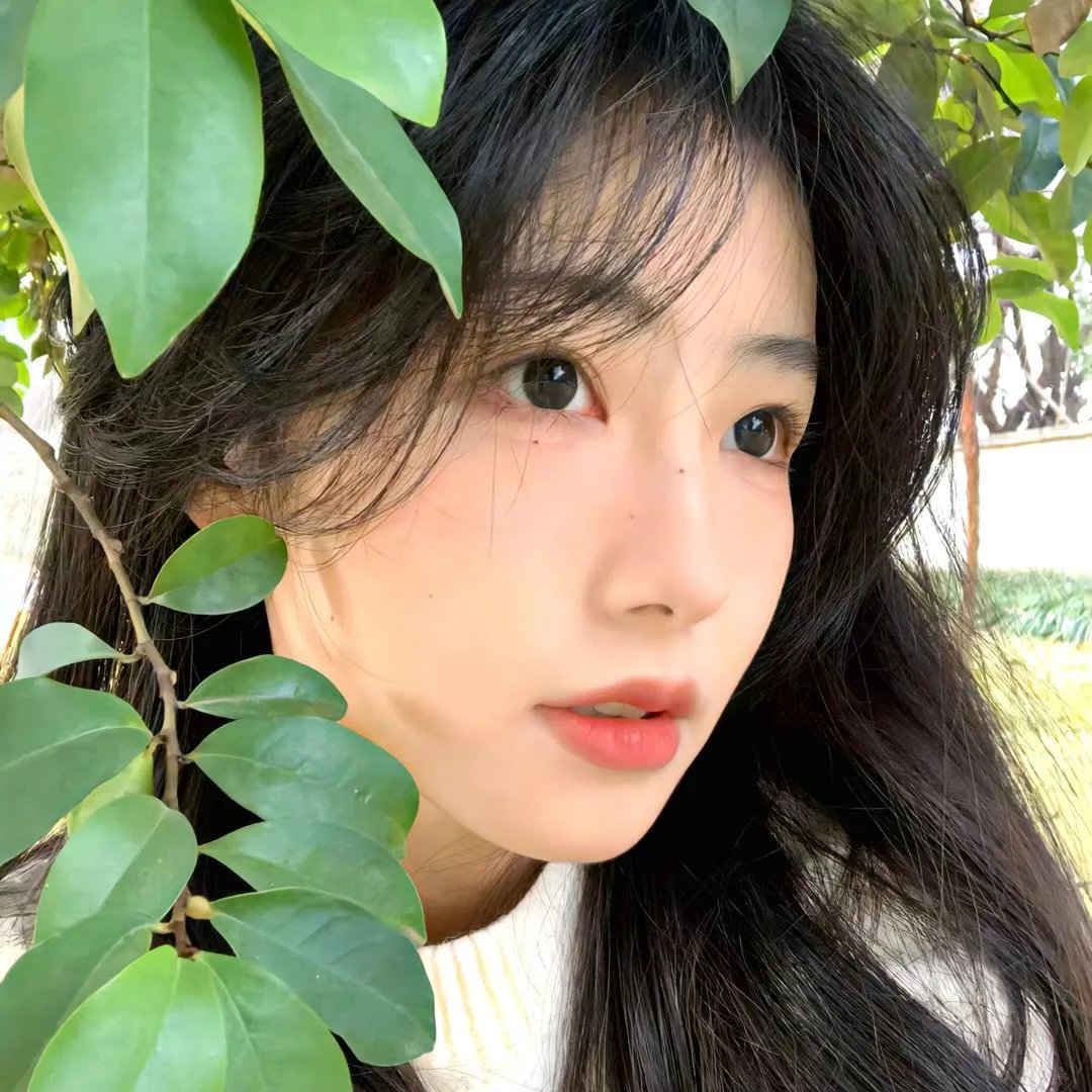 偷心画师
